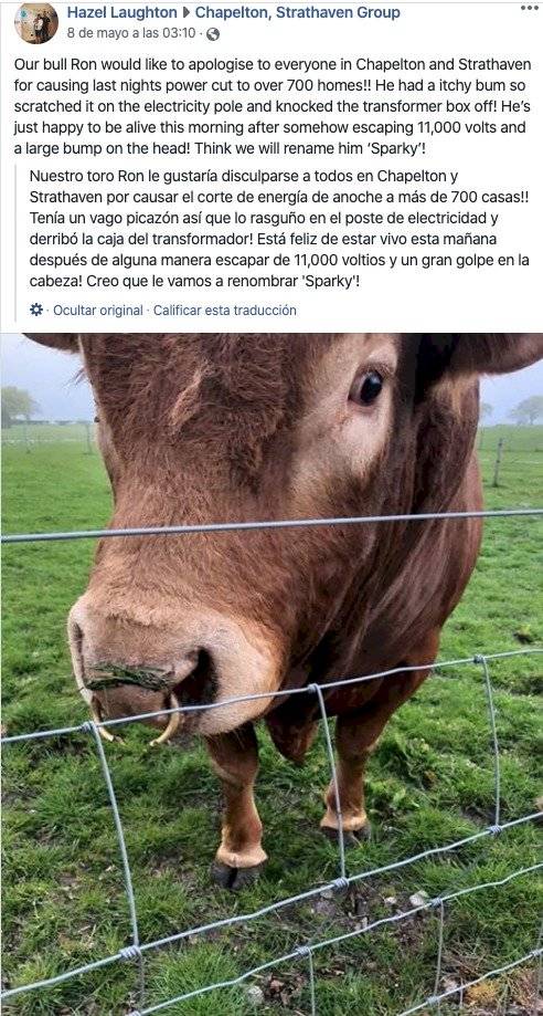 Toro