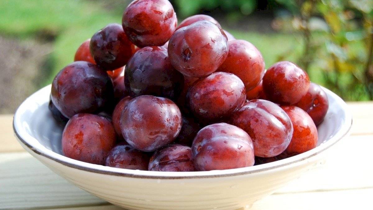 Las ciruelas previenen el estreñimiento en la mujer embarazada