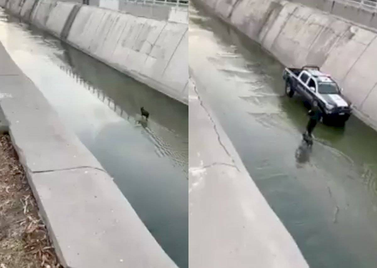 Policía rescata a perro