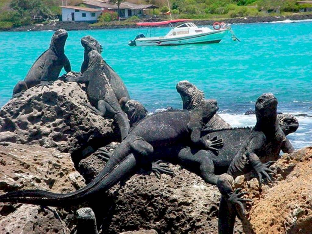 Galápagos