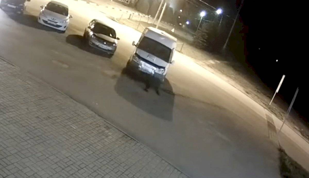 Oso se pasea por las calles de Rusia y ataca a hombre
