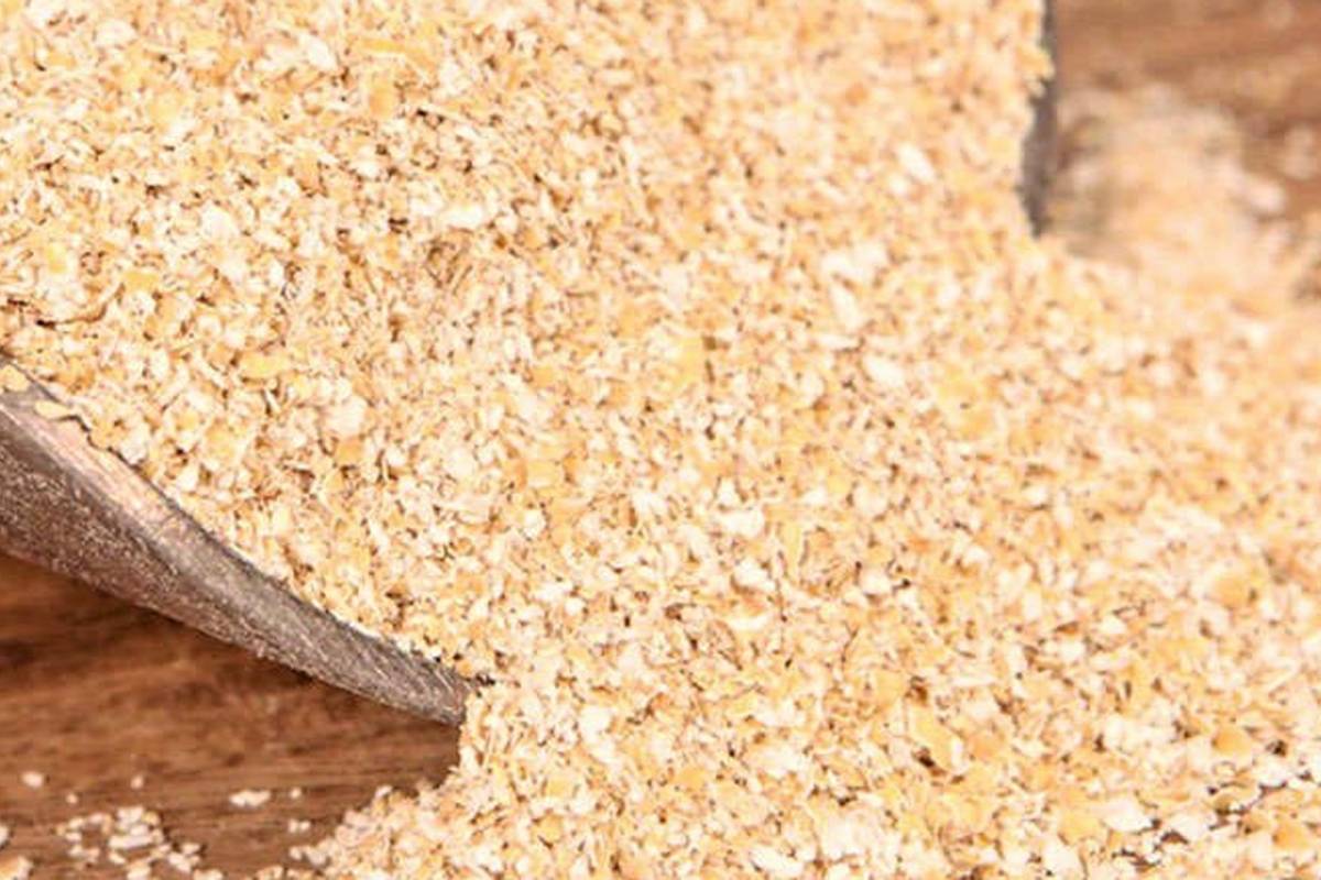copos de avena beneficios para la salud copos de avena beneficios para la salud