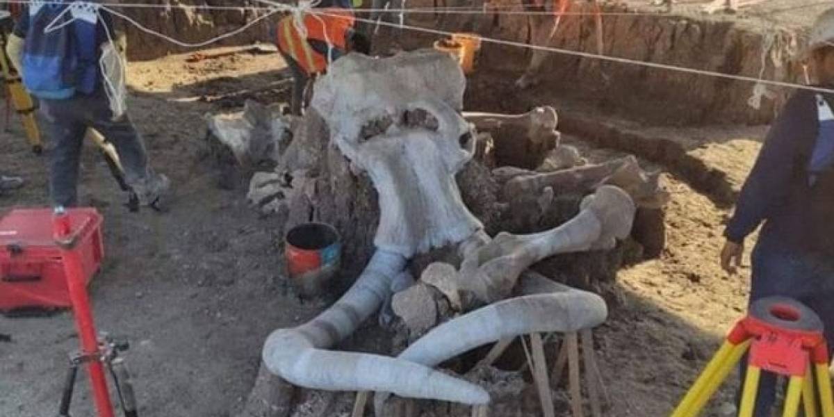 A propósito del cementerio de Santa Lucía, ¿por qué los mamuts “morían en manada”?