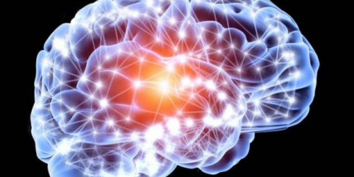 Científicos desarrollaron un método basado en microfibras para administrar y activar fármacos en el cerebro