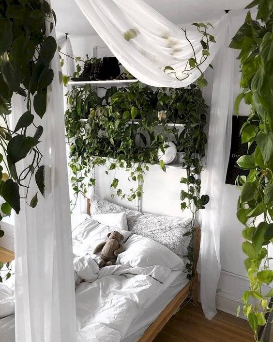 Mira nueve maneras sencillas de decorar espacios pequeños con plantas