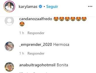 Ana karina