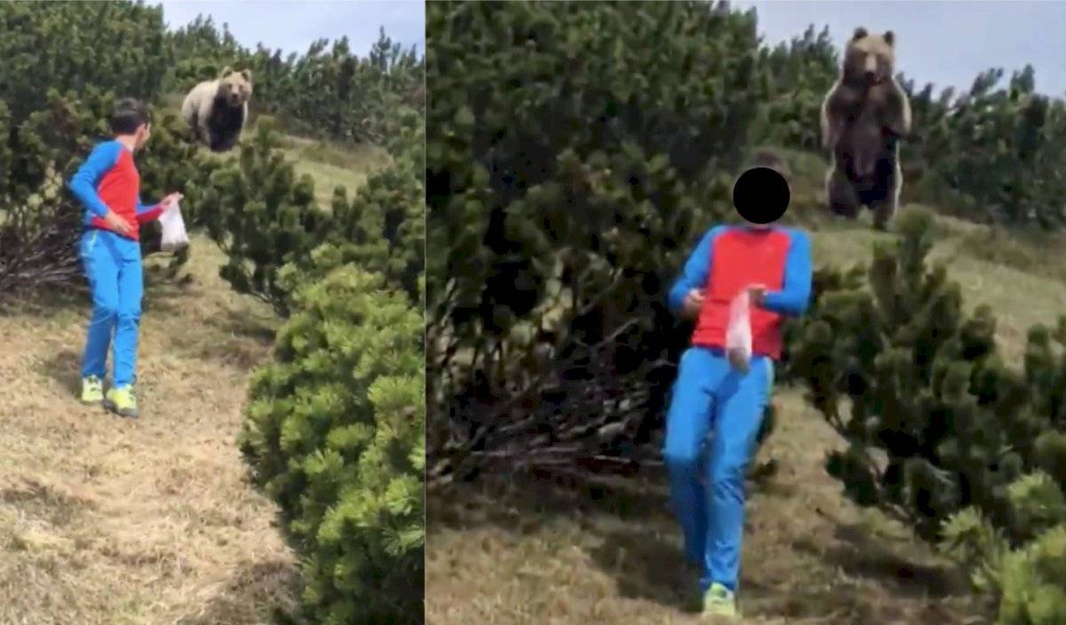 Niño escapa de oso pardo
