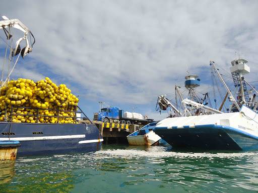 barco ecuatoriano