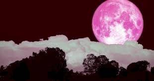 La Luna de Rosa, también es conocida como Luna Fresa por las tonalidades que da