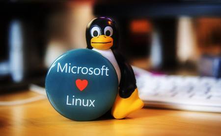 Microsoft Linux Microsoft Linux