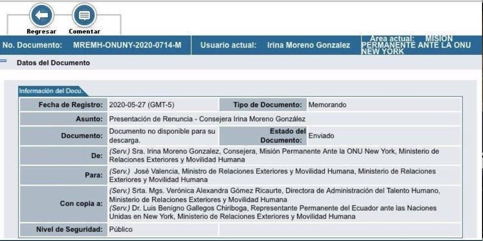 Irina Moreno presentó su renuncia a la consejería del servicio exterior