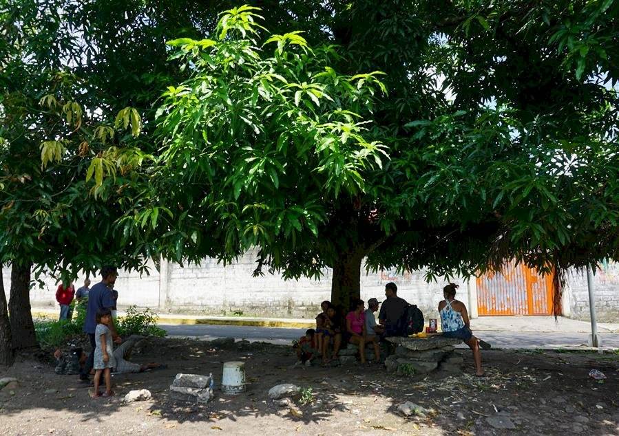 Migrantes a la deriva y expuestos a la pandemia del covid-19 en Tapachula, Chiapas
