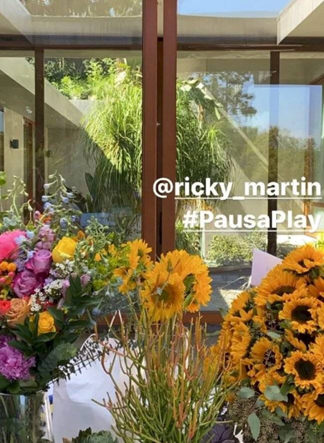 ricky martin