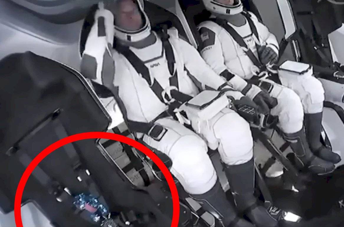 SpaceX Dinosaurio