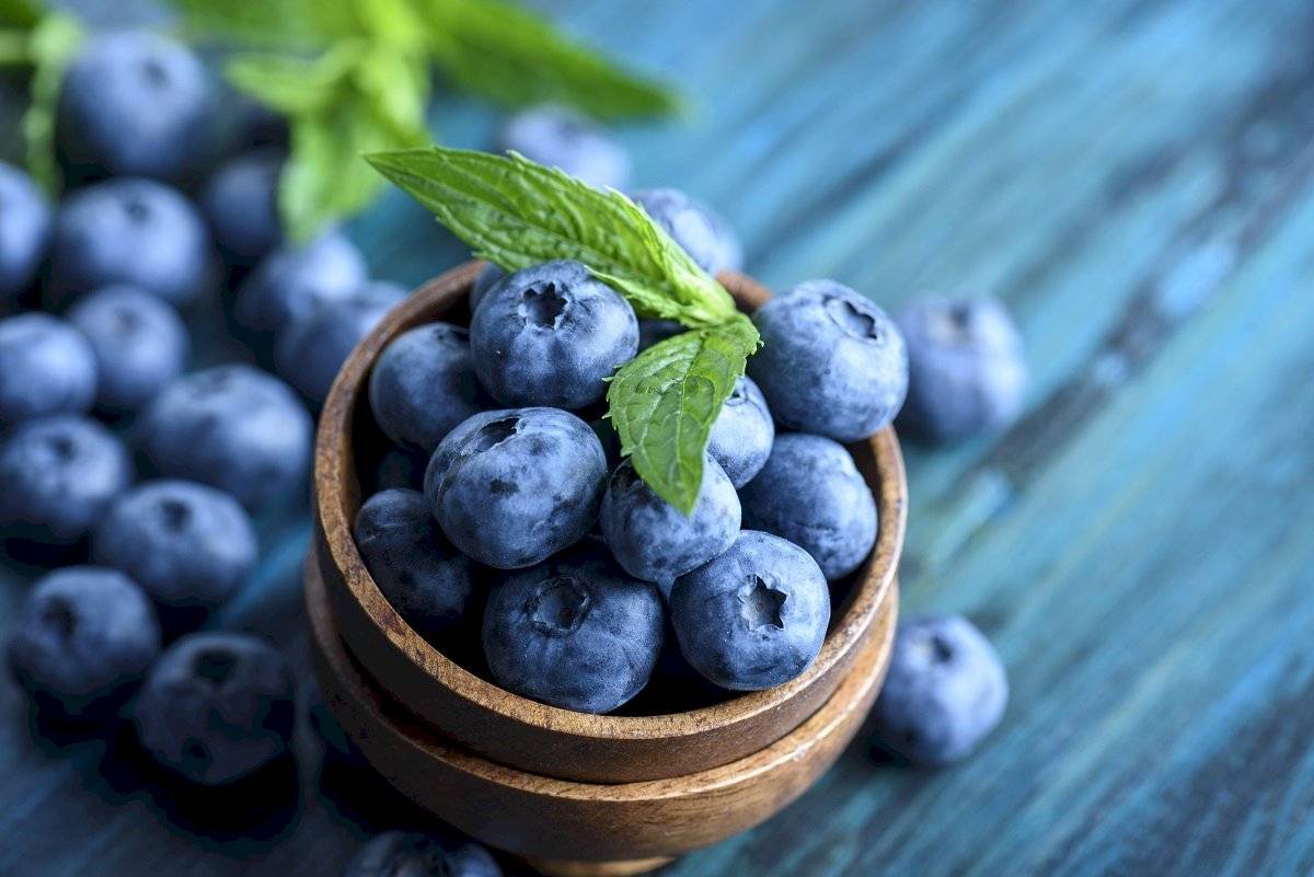 Este vegetal activa las neuronas del cerebro