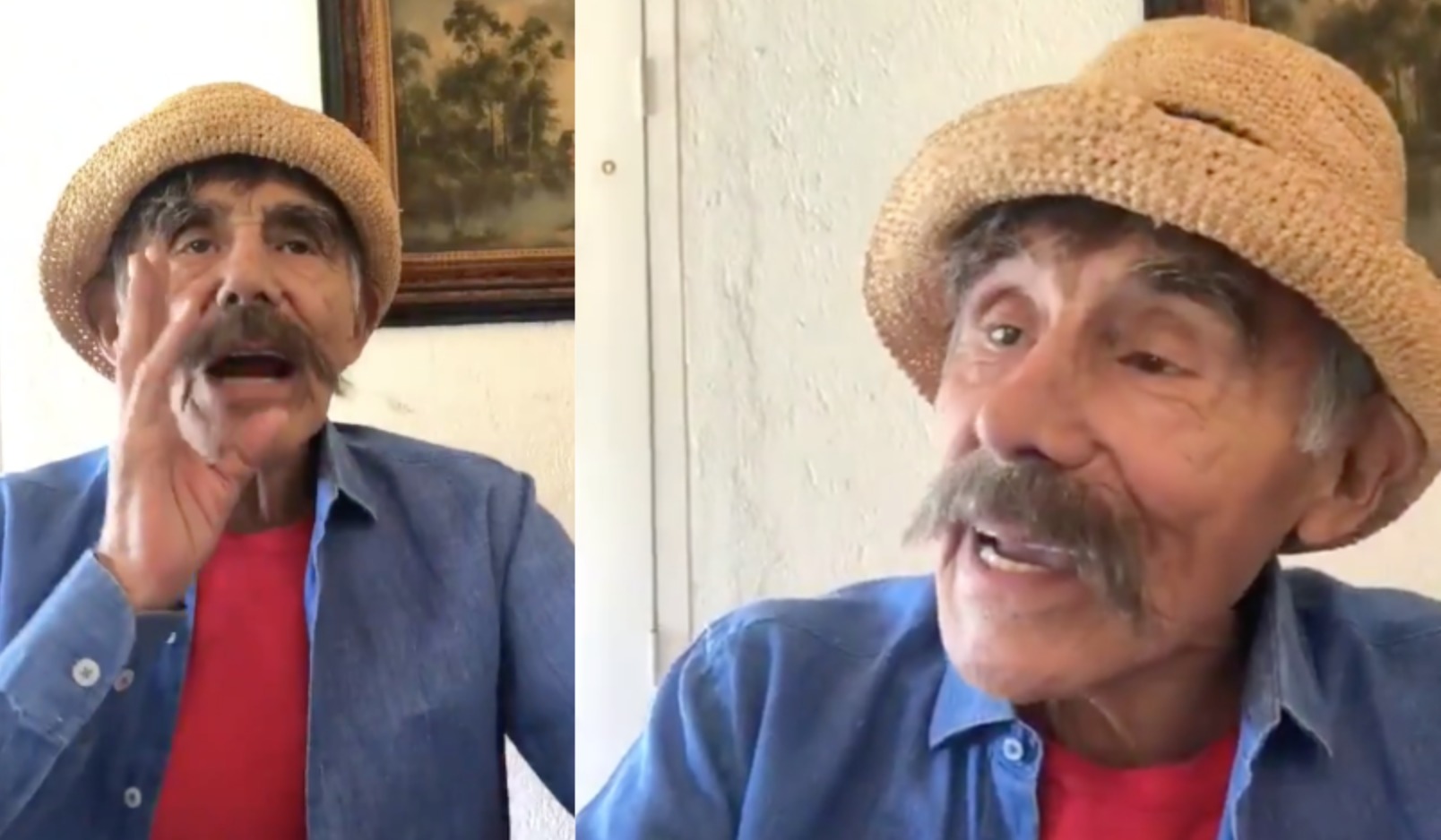 Héctor Suarez Tik Tok