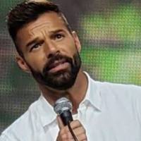 Ricky Martin confesó que tiene embriones congelados esperando para ampliar su familia