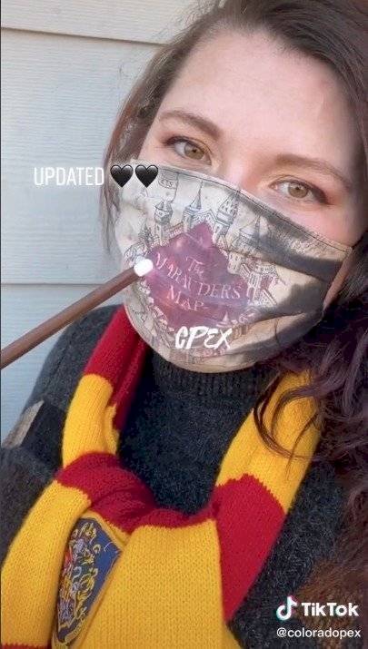 Harry Potter cubrebocas
