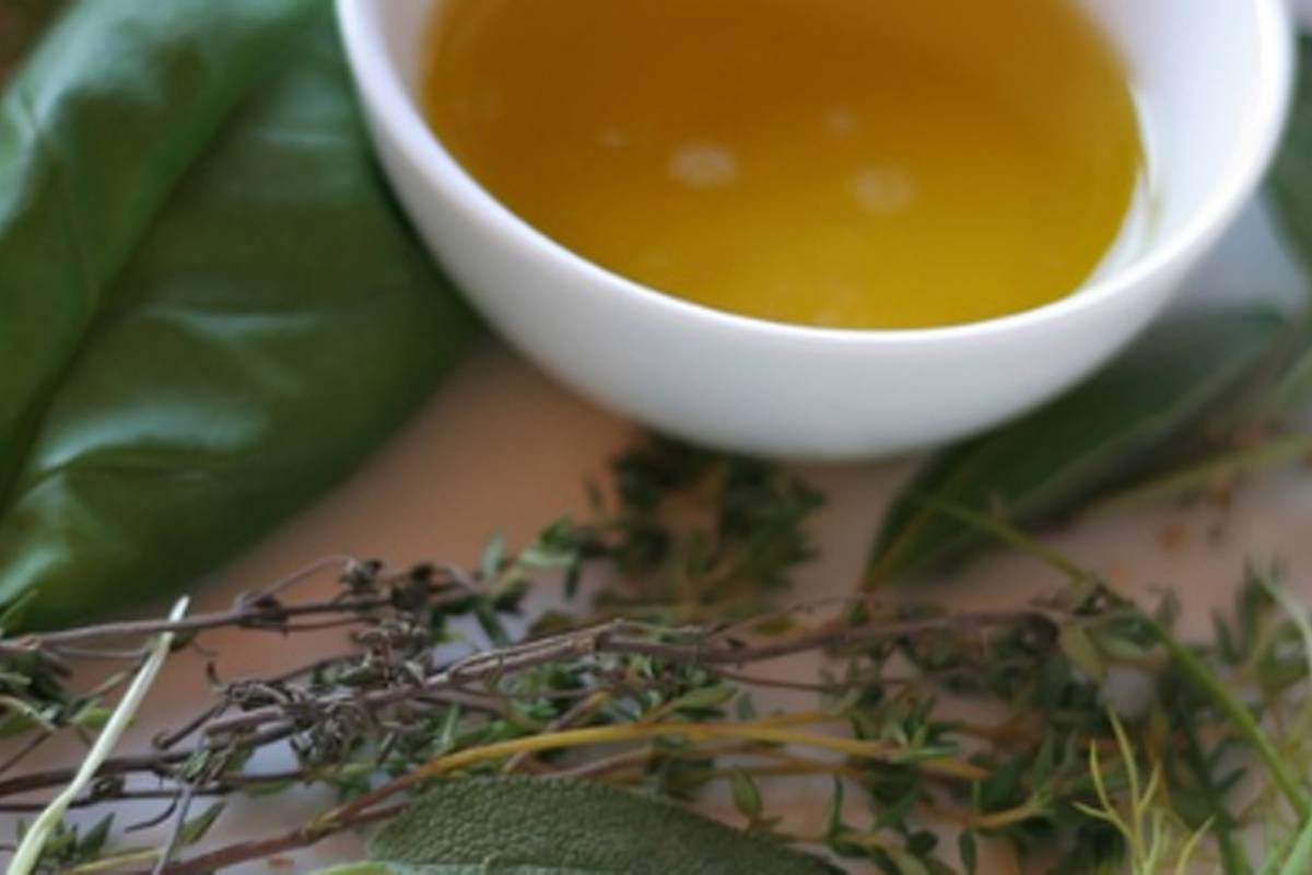 Té de orégano Descubre sus beneficios para la salud y usos Metro