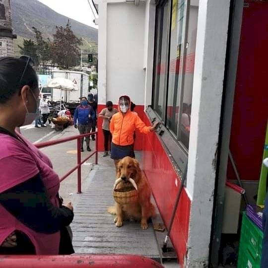 Zeus respeta el distanciamiento social