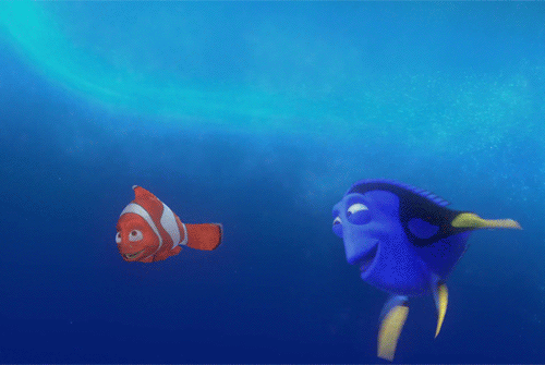 foto000000042016-0588a424b23610529a63d0526599d646.gif