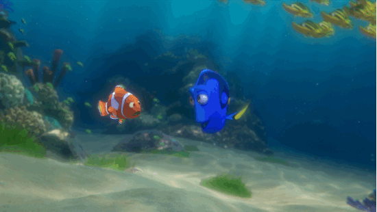 foto000000052016-869a97ad86ef2db0b0a8d02619ab1831.gif