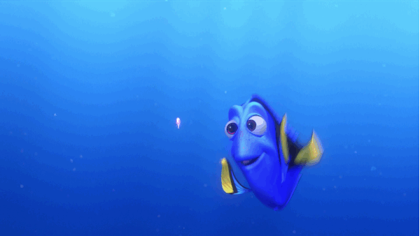 foto000000062016-201cd08db398ca46038b6d35fc81945f.gif