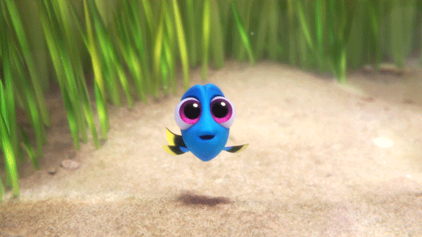 foto000000072016-206f1bd45b6ee867dde0475deb319816.gif