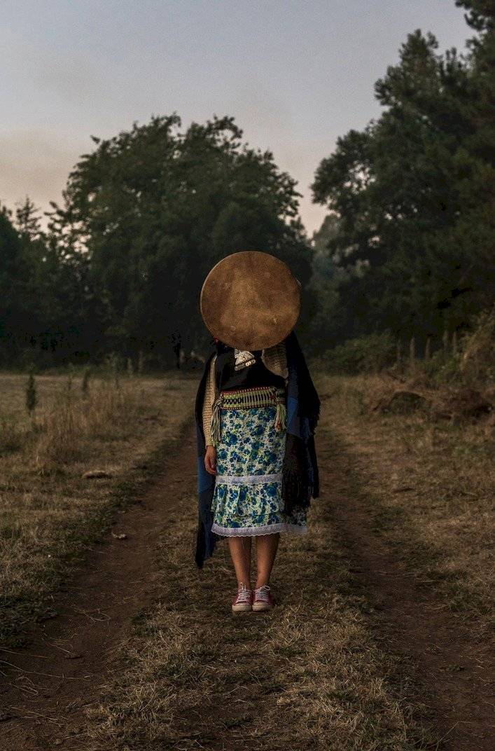 mapuche