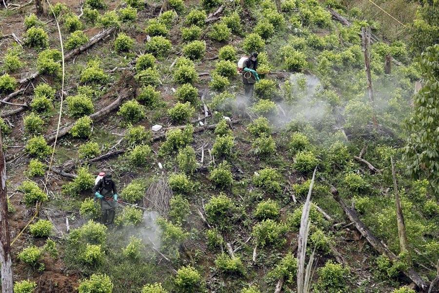 Cárteles mexicanos en Colombia 2