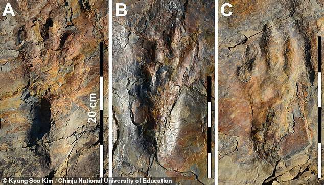  Cocodrilo Bípedo Huellas