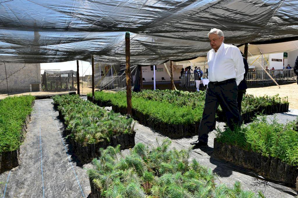 AMLO
