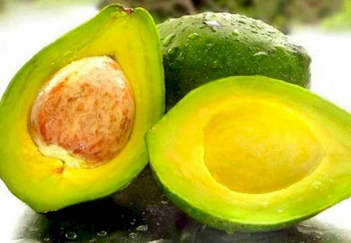 El aguacate tiene excelentes nutrientes para el cabello