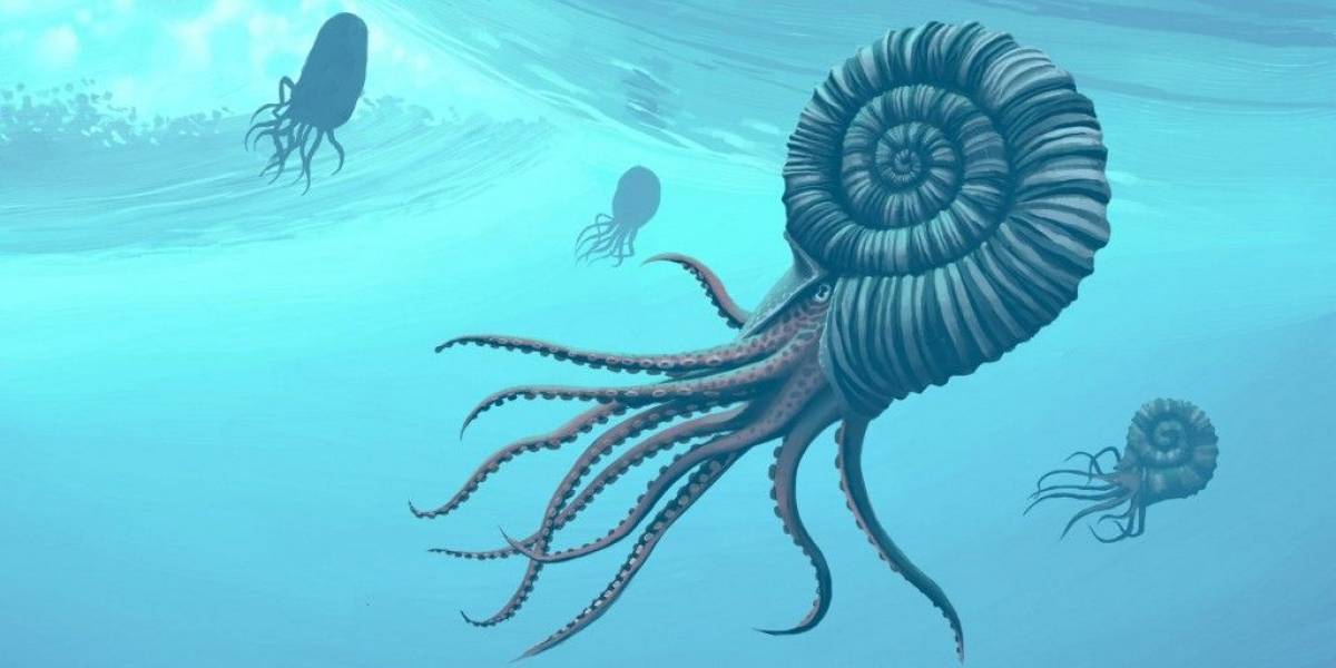 Jóvenes estudiantes hallaron fósil de 95 kilos perteneciente a una criatura marina de hace 115 millones de años