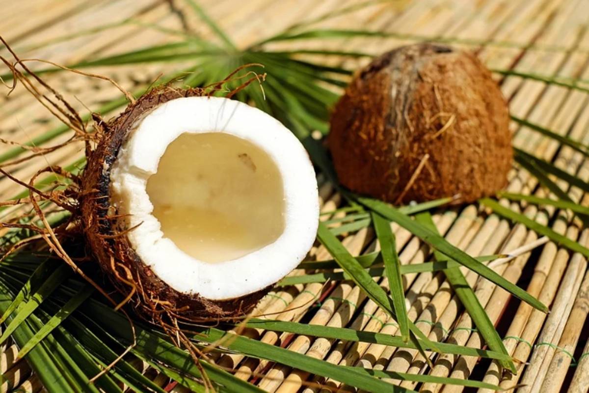 Estos Son Los Increíbles Beneficios Del Coco Rallado Publimetro México