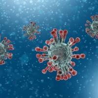 Coronavirus en Puerto Rico: Reportan 11 muertes y 2,828 adicionales