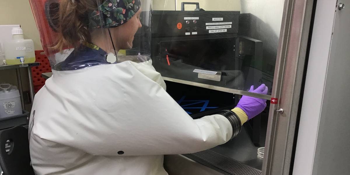 Coronavirus: luz ultravioleta logra eliminar la presencia de partículas del COVID-19