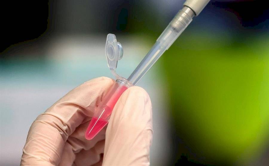 Oxford ya produce vacunas para venderlas en diciembre una vez testadas