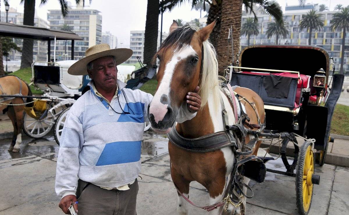 caballo
