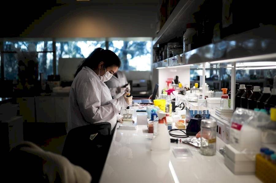 Científicos argentinos crean un test de Covid-19 rápido y práctico