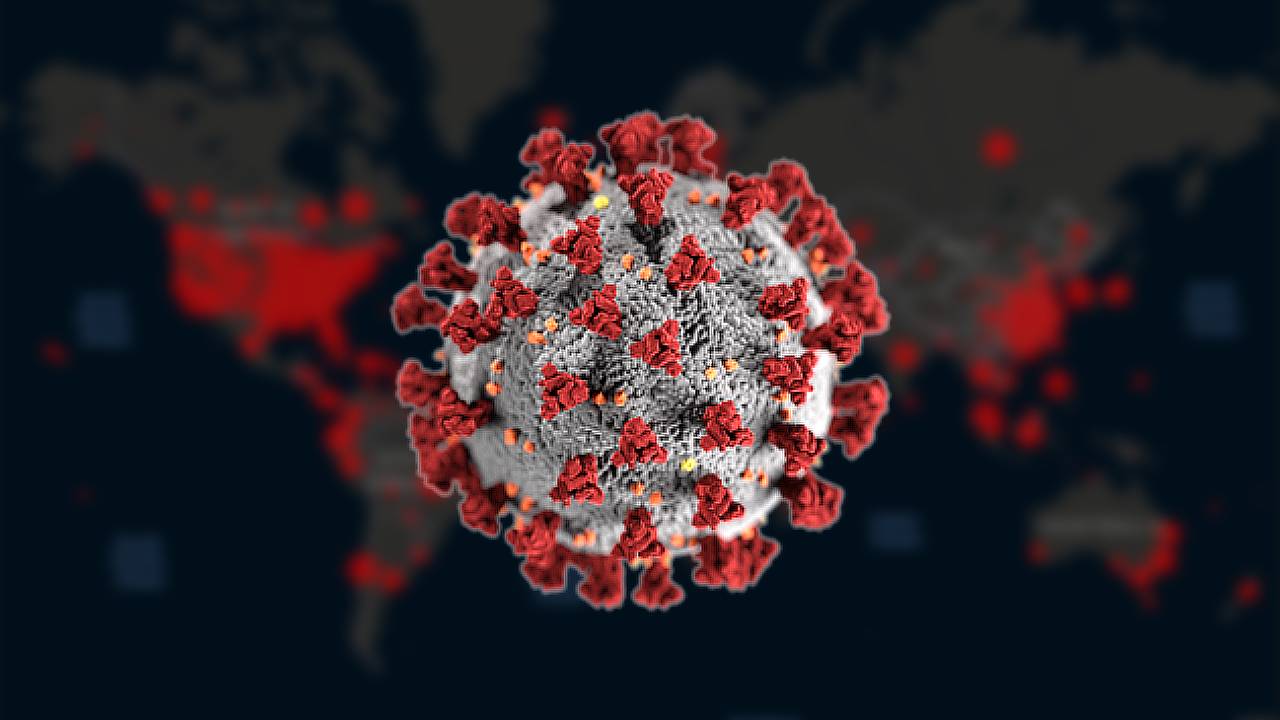 Coronavirus OMS Coronavirus OMS