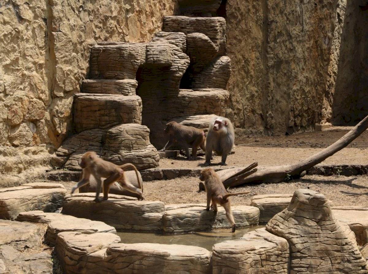Zoológico de Cali