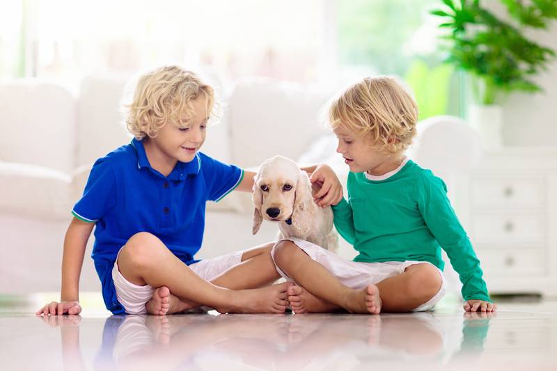 Vinimex TOTAL® Antibacterial” Vinimex TOTAL® Antibacterial”