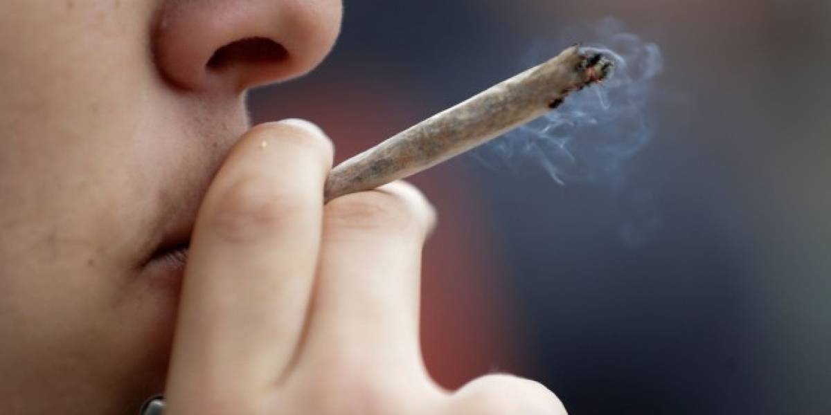 Marihuana: El cannabidiol no afecta el manejo, pero sí el THC