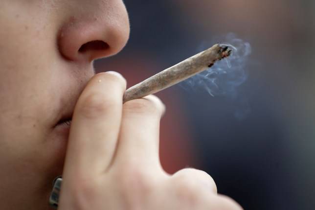  Fumador de marihuana. 