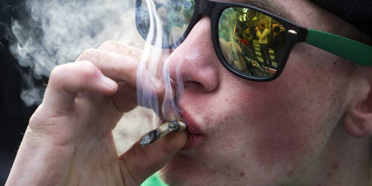 Los niveles de THC no influyen en el efecto de la marihuana, según estudios