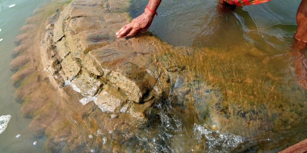 Templo hindú que estaba hundido fue redescubierto tras bajar los niveles de un río