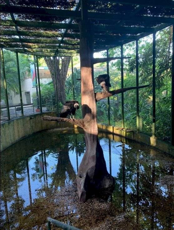 zoo2