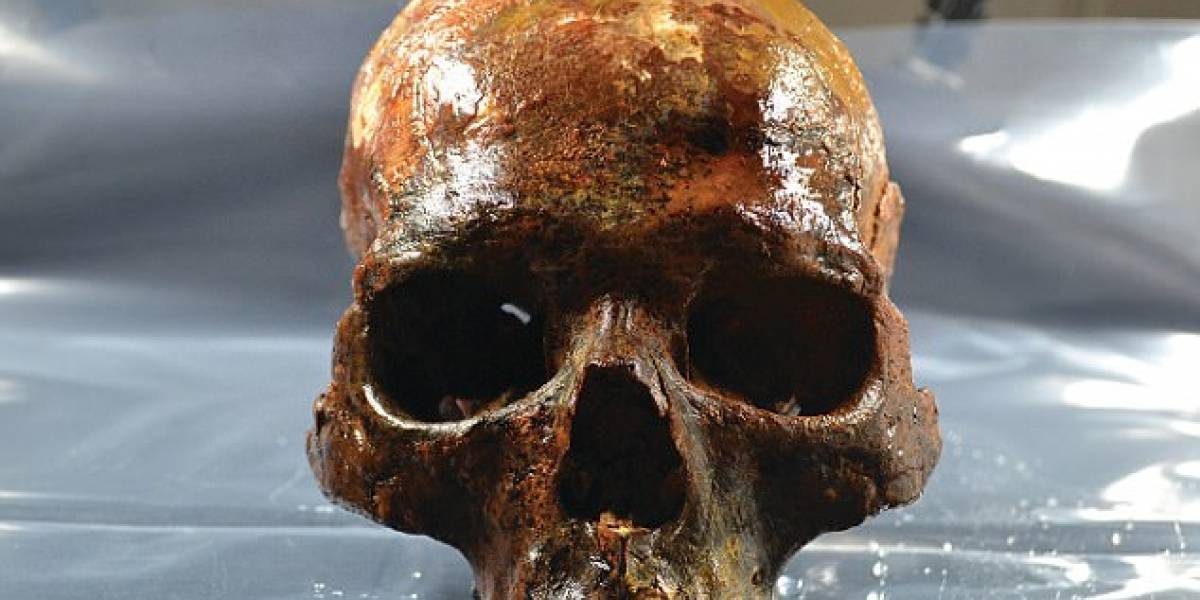 Así era el rostro de un hombre de la Edad de Piedra: encontraron la cabeza en una estaca