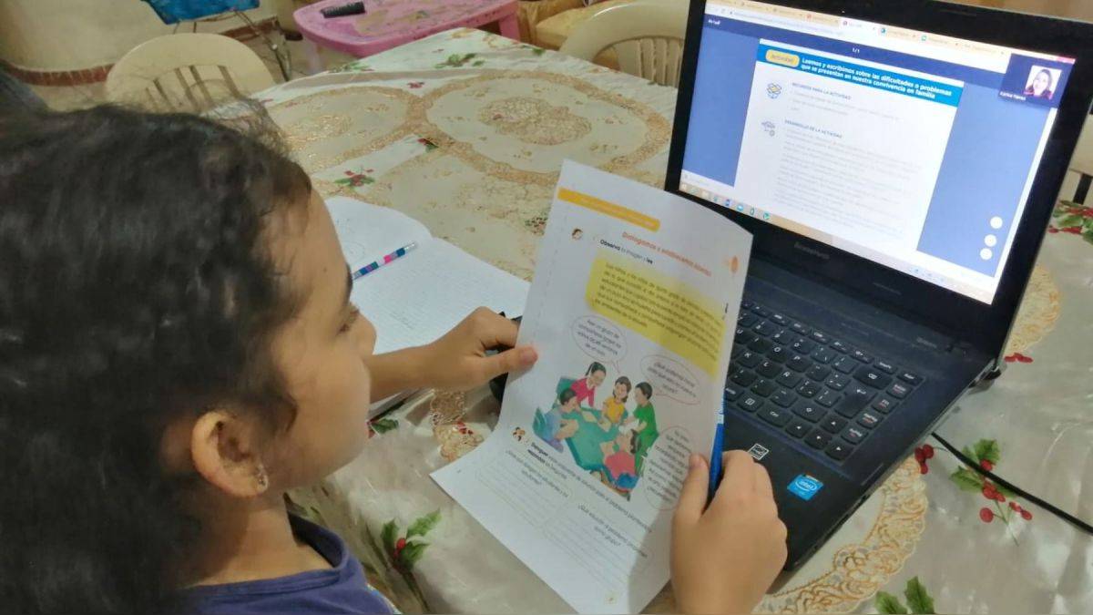 Los pros y los contras de la educación virtual